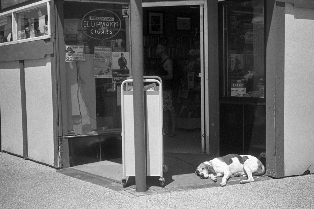 Dog sleeping in doorway. Grand Haven, MI