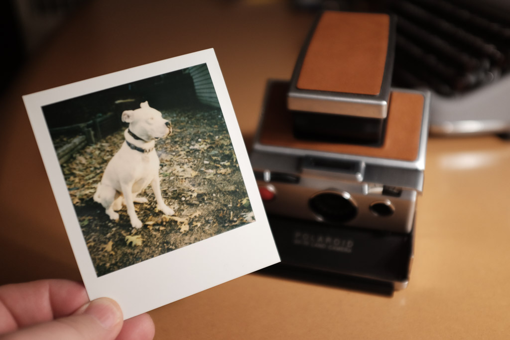 SX-70 and a shot of Josie using Polaroid Originals SX-70 film